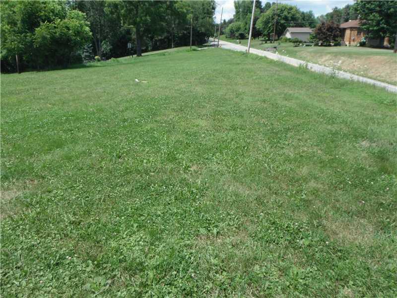 4169 Battle Ridge Road McDonald, PA 15057 - Photo 4 of 18 Land. This is the side yard!!