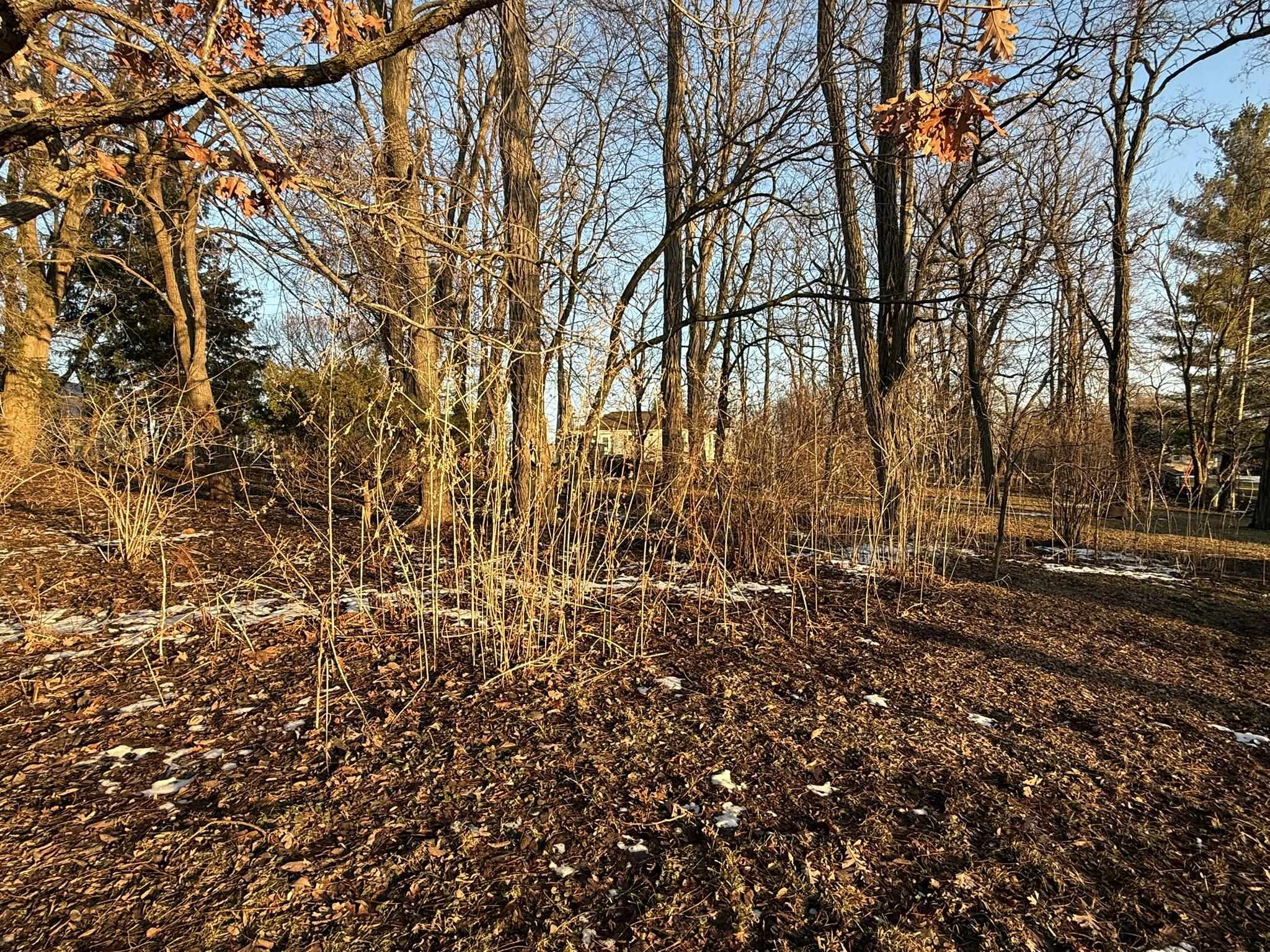 219 West Commerce Street Mineral Point, WI 53565 - Photo 39 of 39