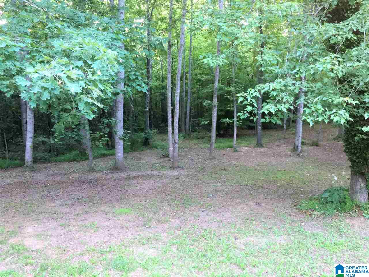 9255 County Road 65 Fruithurst, AL 36262 - Photo 36 of 44