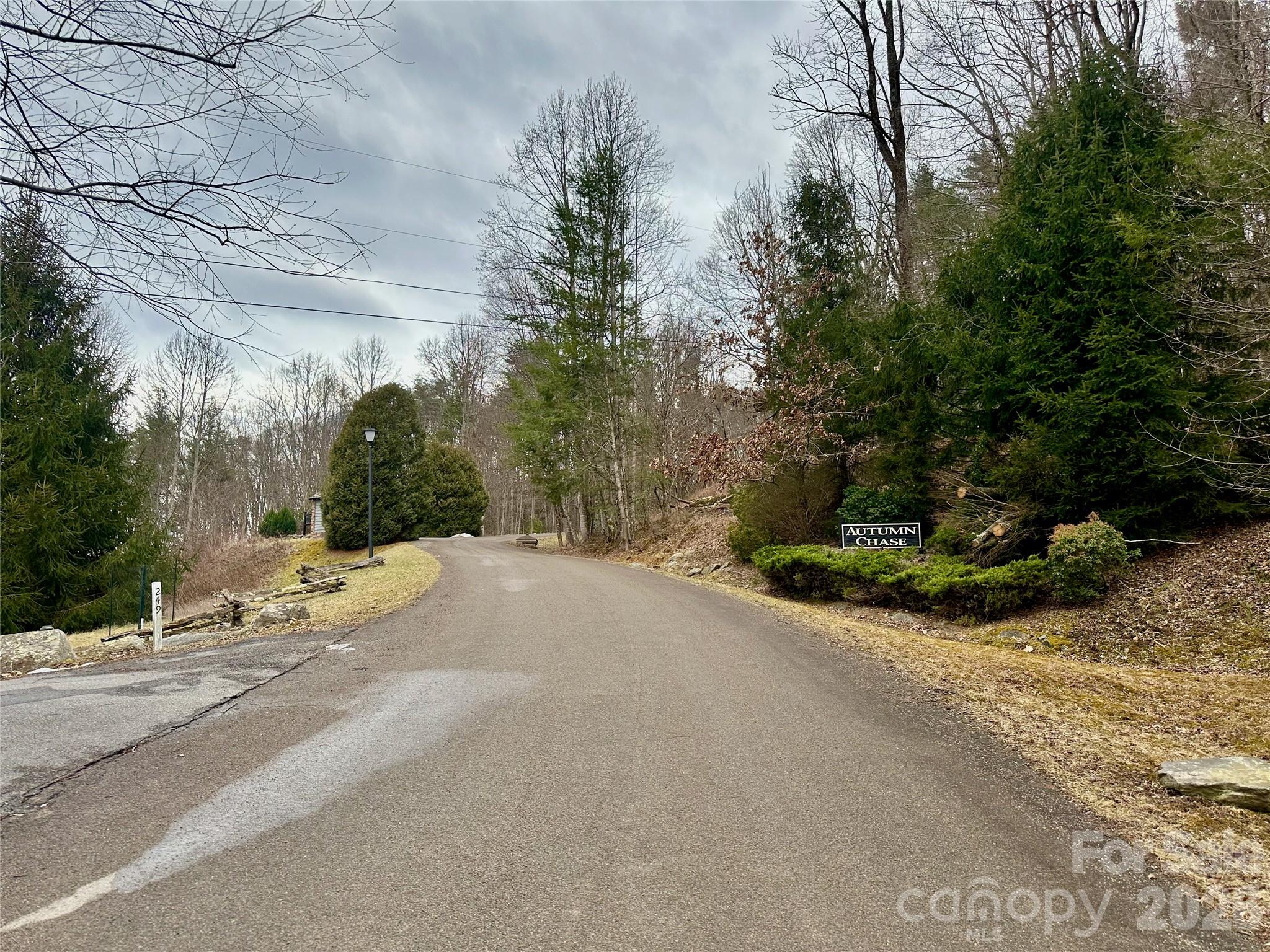 Tbd Mantera Ridge Sugar Grove, NC 28679 - Photo 11 of 16 a view of a street with a house in the background