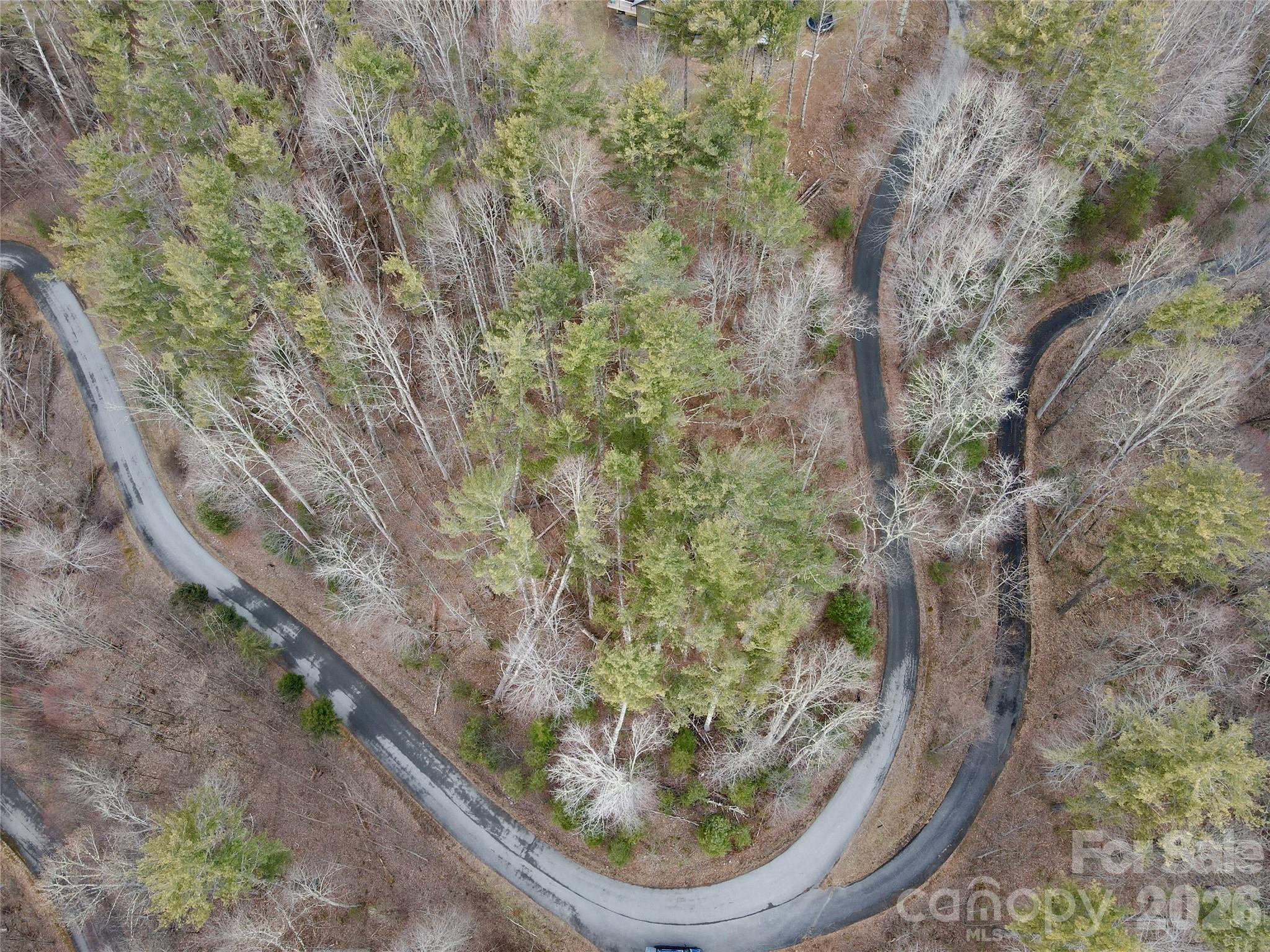 Tbd Mantera Ridge Sugar Grove, NC 28679 - Photo 12 of 16 a view of a yard