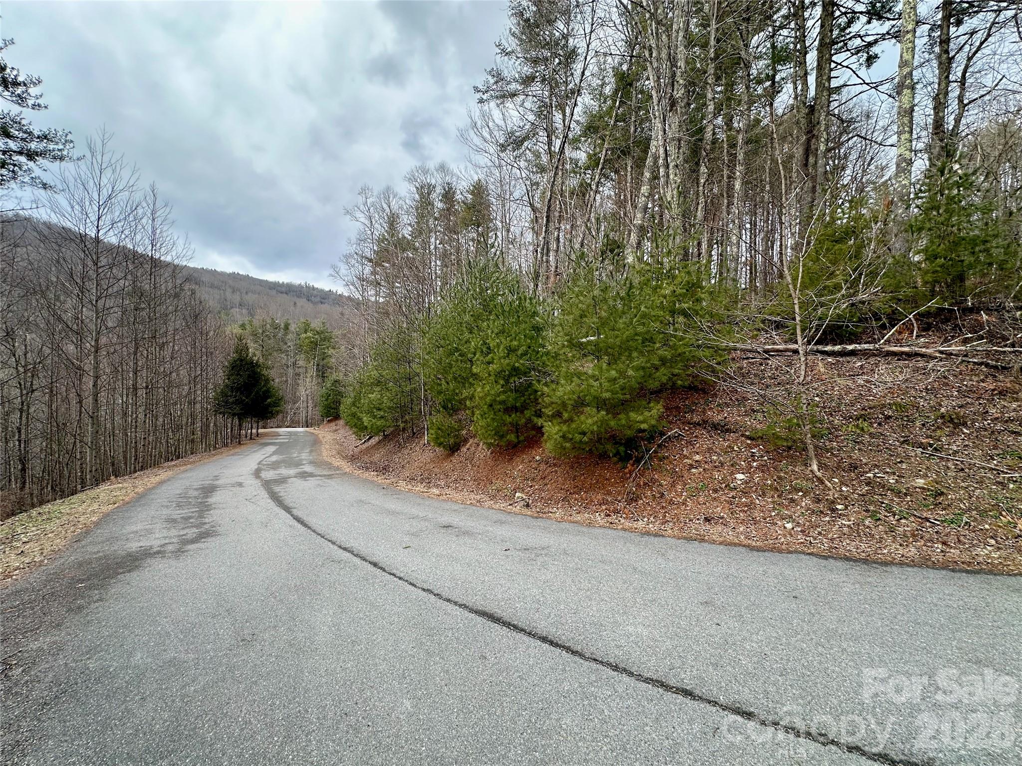 Tbd Mantera Ridge Sugar Grove, NC 28679 - Photo 13 of 16 a view of a street view