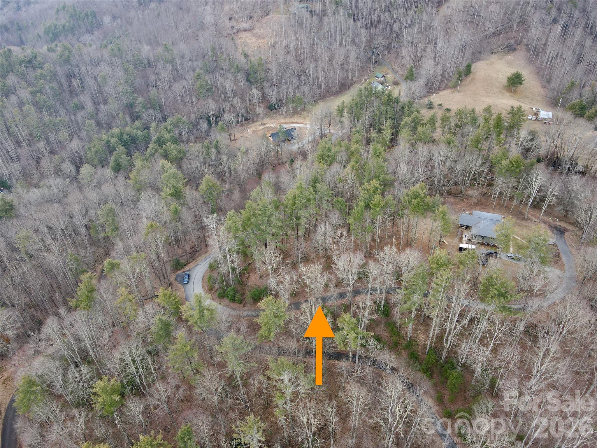 Tbd Mantera Ridge Sugar Grove, NC 28679 - Photo 14 of 16 a view of a forest with a trees