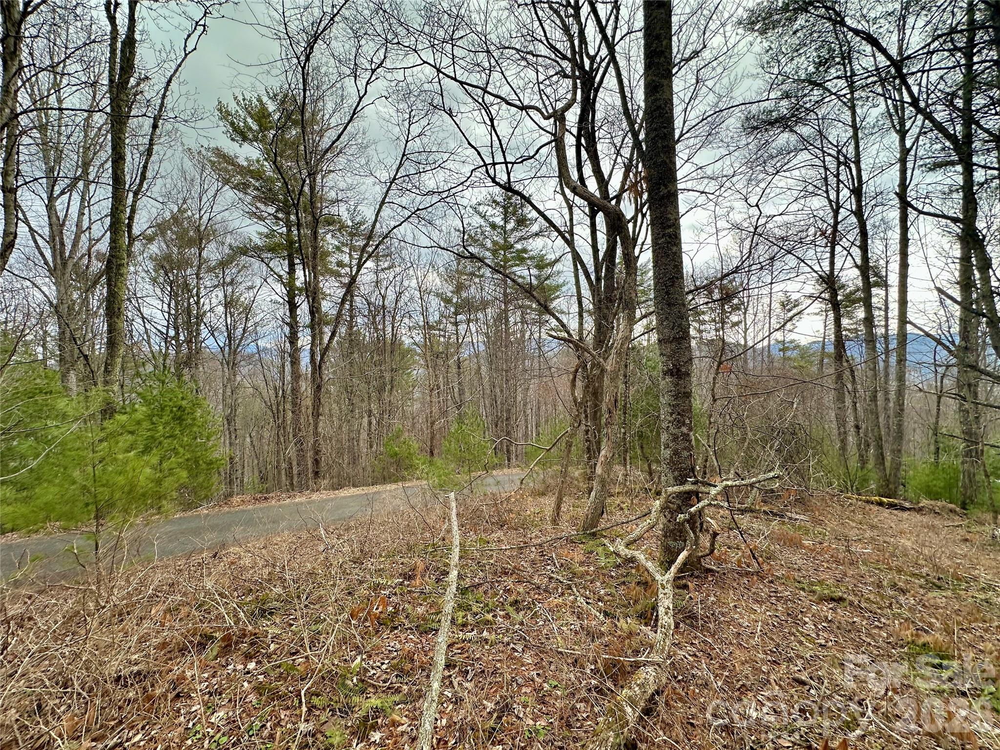Tbd Mantera Ridge Sugar Grove, NC 28679 - Photo 4 of 16 a backyard of a house with lots of green space