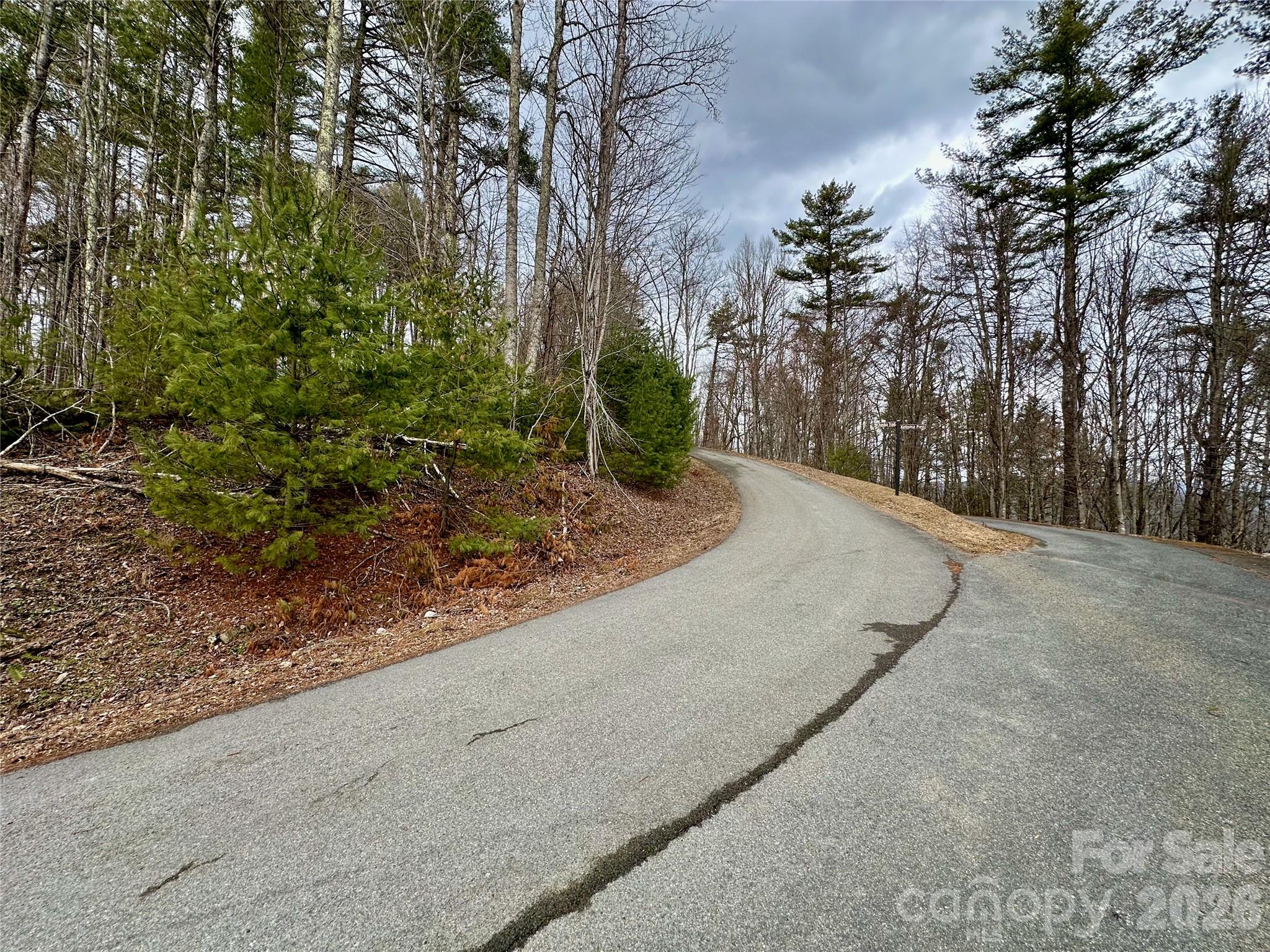 Tbd Mantera Ridge Sugar Grove, NC 28679 - Photo 7 of 16 a view of a road with a trees