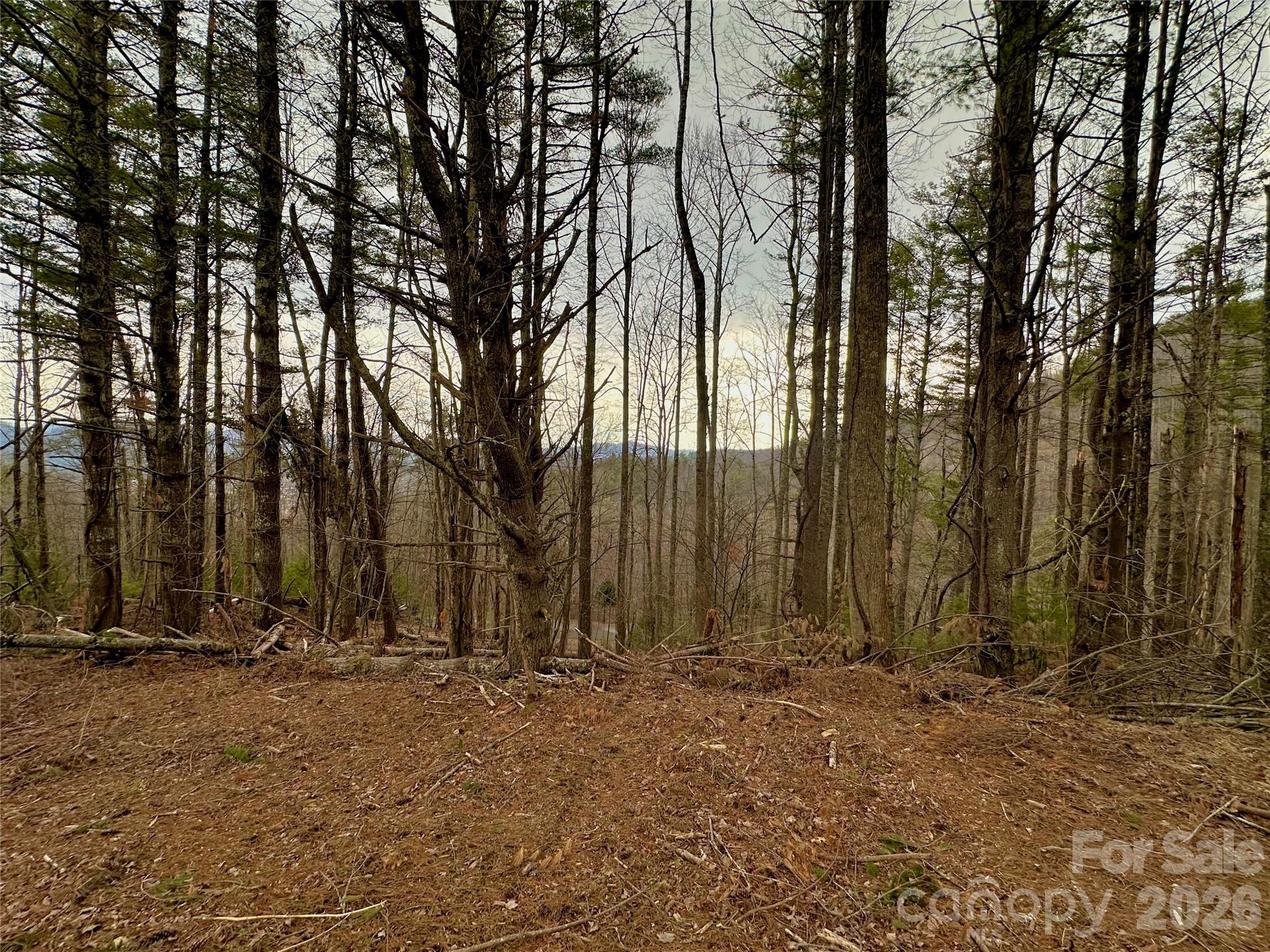 Tbd Mantera Ridge Sugar Grove, NC 28679 - Photo 10 of 16 a view of outdoor space with stainless steel appliances