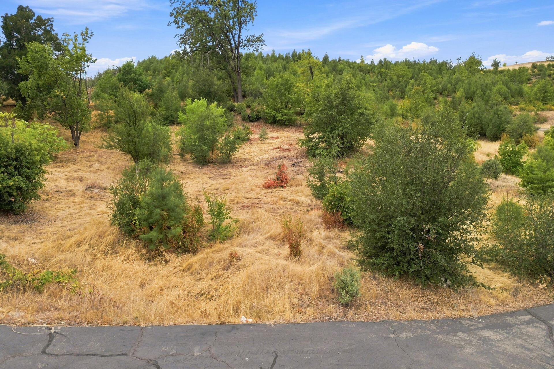 15691 Old Stage Coach Road Redding, CA 96001 - Photo 25 of 41 Hillside/place to plant a vineyard