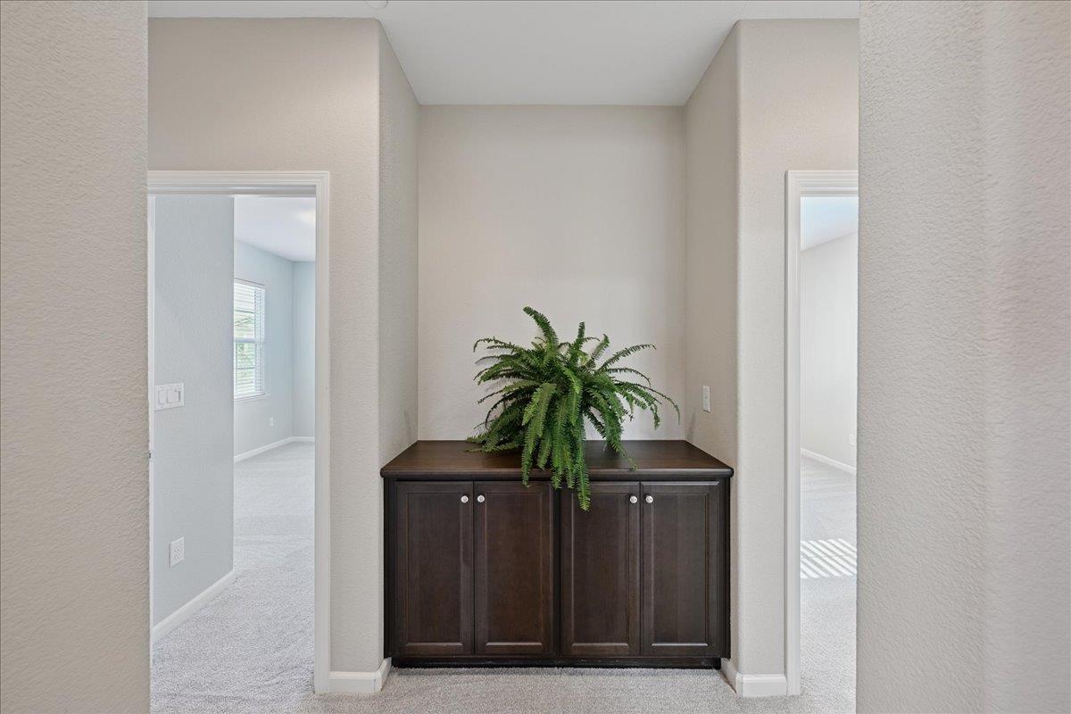 706 Wagon Trail Way Rocklin, CA 95765 - Photo 31 of 61 a potted plant sitting in a dresser next to a window
