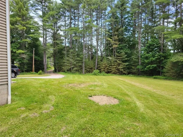 a view of a park with a slide