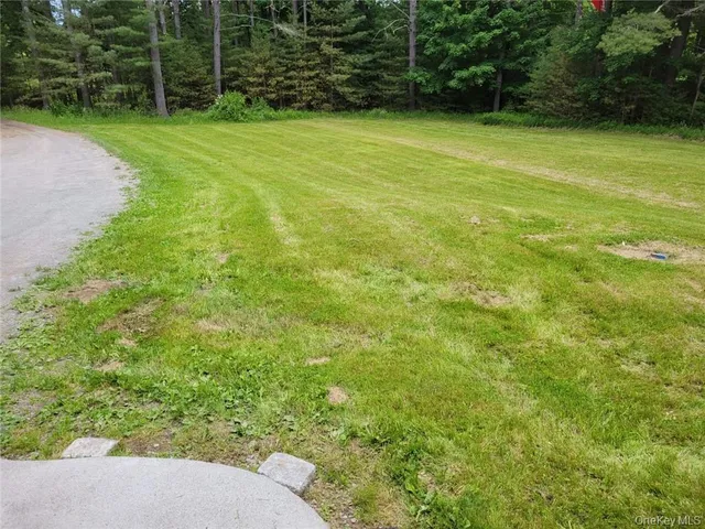 a view of house with a yard