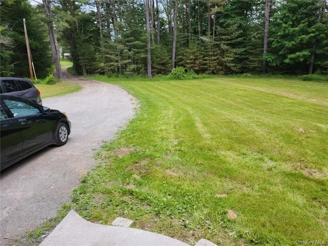 a view of a backyard with plants