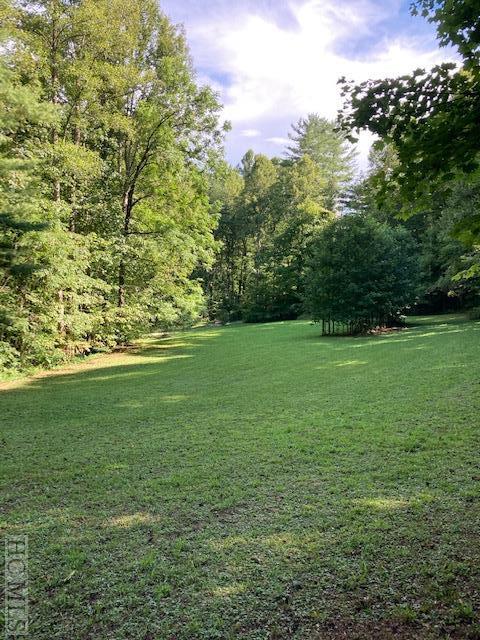 0 Moss Branch Road Highlands, NC 28741 - Photo 2 of 9 Gallery Image 2
