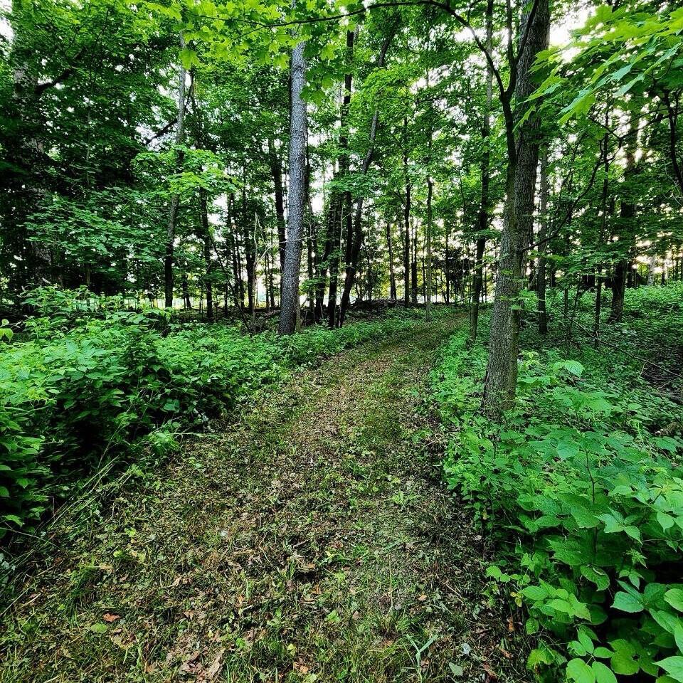 0 Knorr Road, Unit PARCEL 1 Galion, OH 44833 - Photo 12 of 20 0KnorrParcel1_48123_12