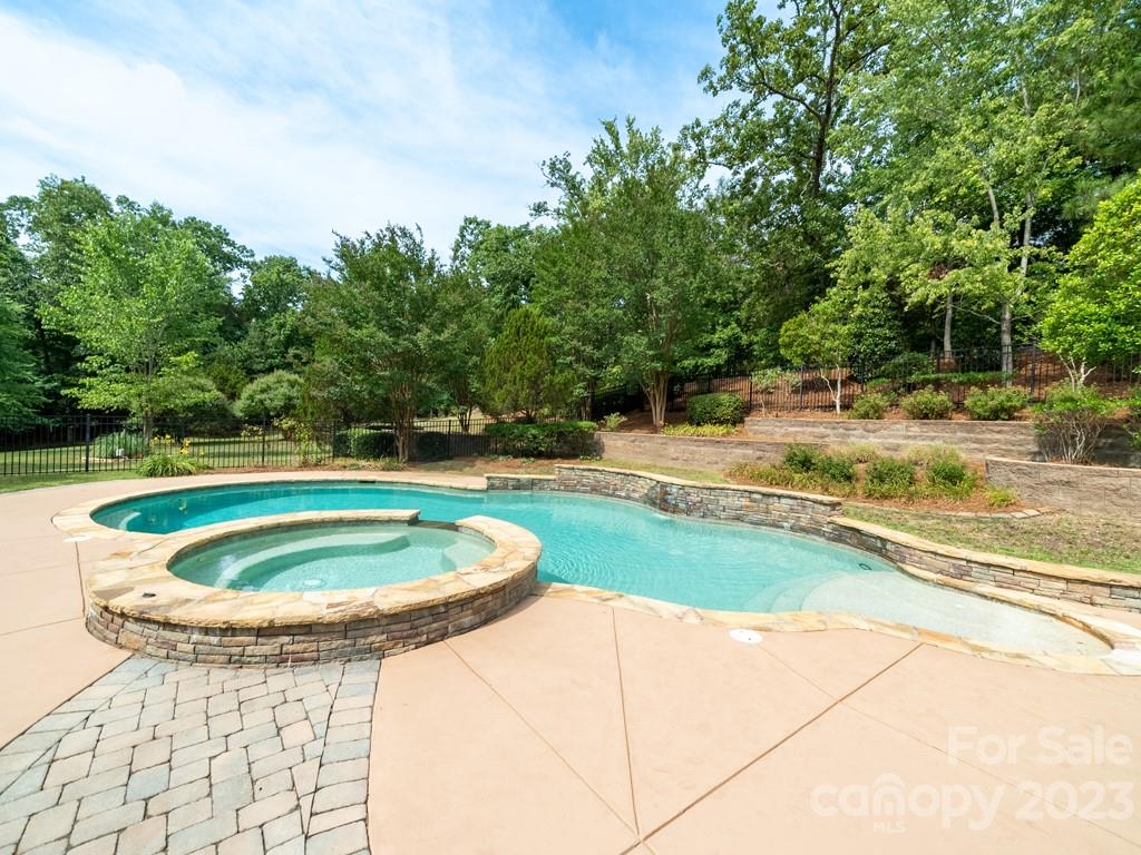 14707 June Washam Road Davidson, NC 28036 - Photo 31 of 48 swimming pool view with a outdoor space