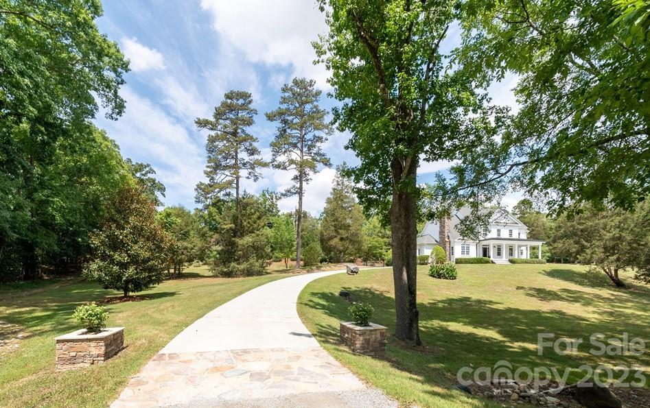 14707 June Washam Road Davidson, NC 28036 - Photo 5 of 48 a view of yard with tree