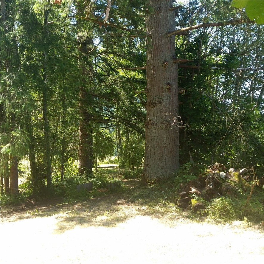 22329 Oso Loop Road Arlington, WA 98223 - Photo 9 of 13