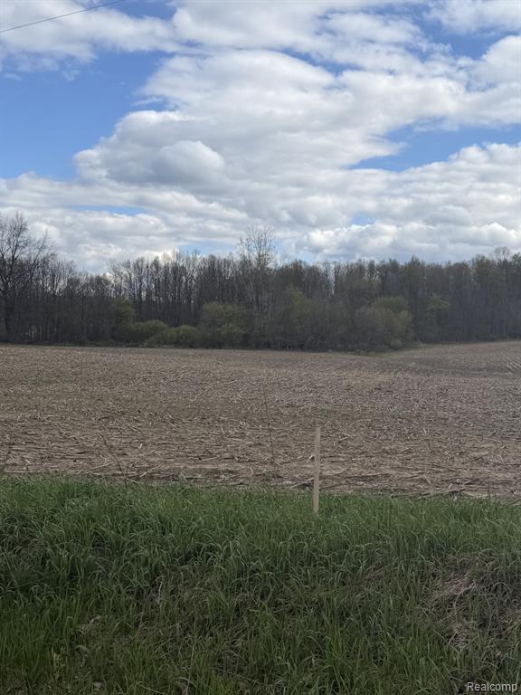 0 Thom Road Black River, MI 48721 - Photo 3 of 3