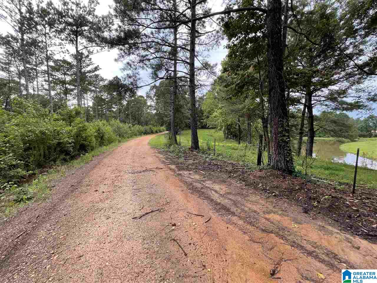 2829 Leander Road Daviston, AL 36256 - Photo 8 of 20