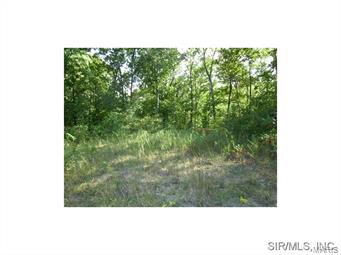 8308 State Rte 4 Ava, IL 62907 - Photo 22 of 23