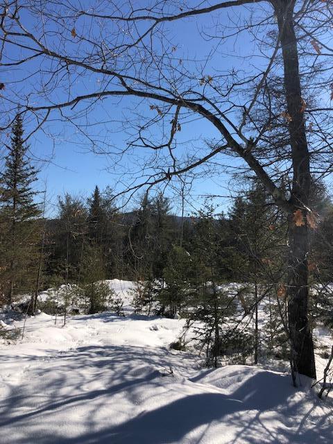 Tbd Stock Farm Road South Paris, ME 04281 - Photo 28 of 39 IMG_7052