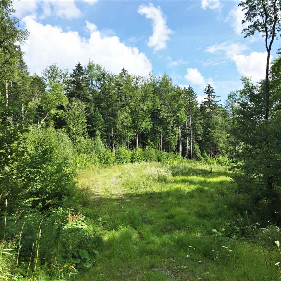 0 Marsh Road Wolcott, VT 05680 - Photo 14 of 19