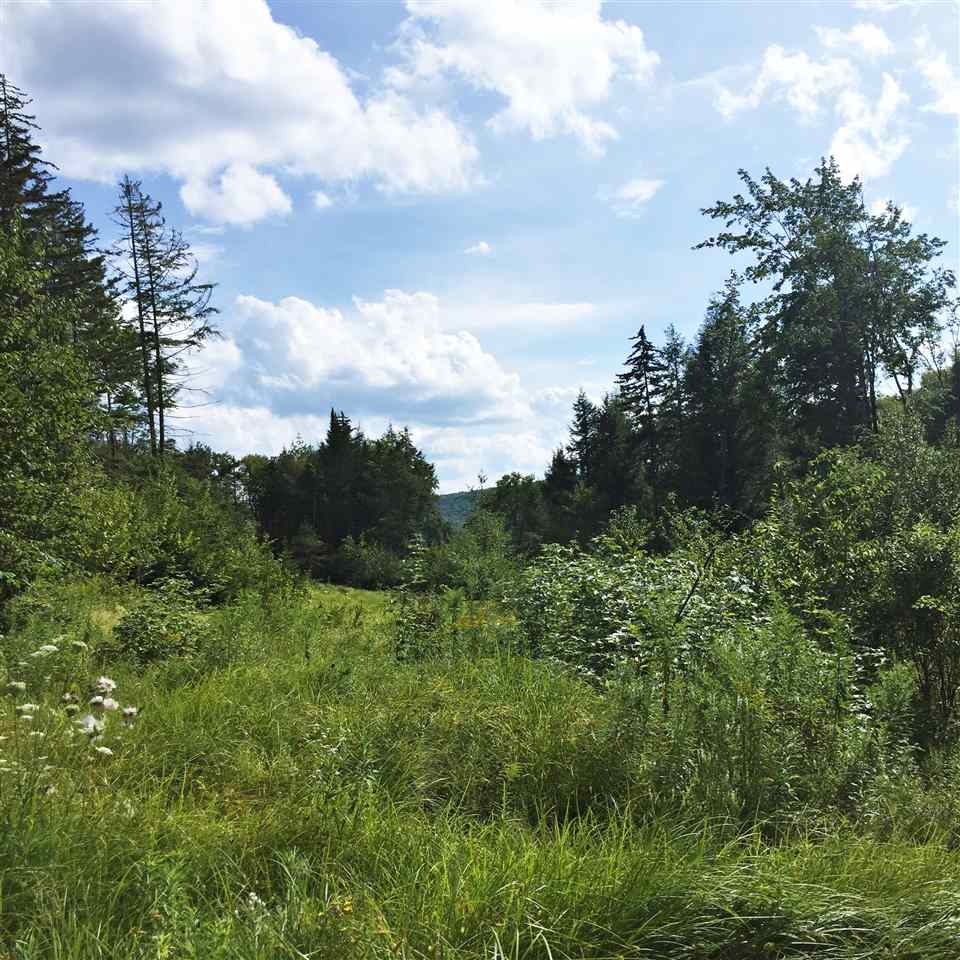 0 Marsh Road Wolcott, VT 05680 - Photo 15 of 19