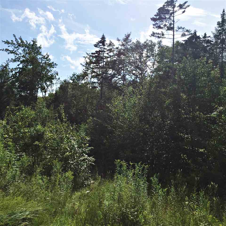 0 Marsh Road Wolcott, VT 05680 - Photo 16 of 19