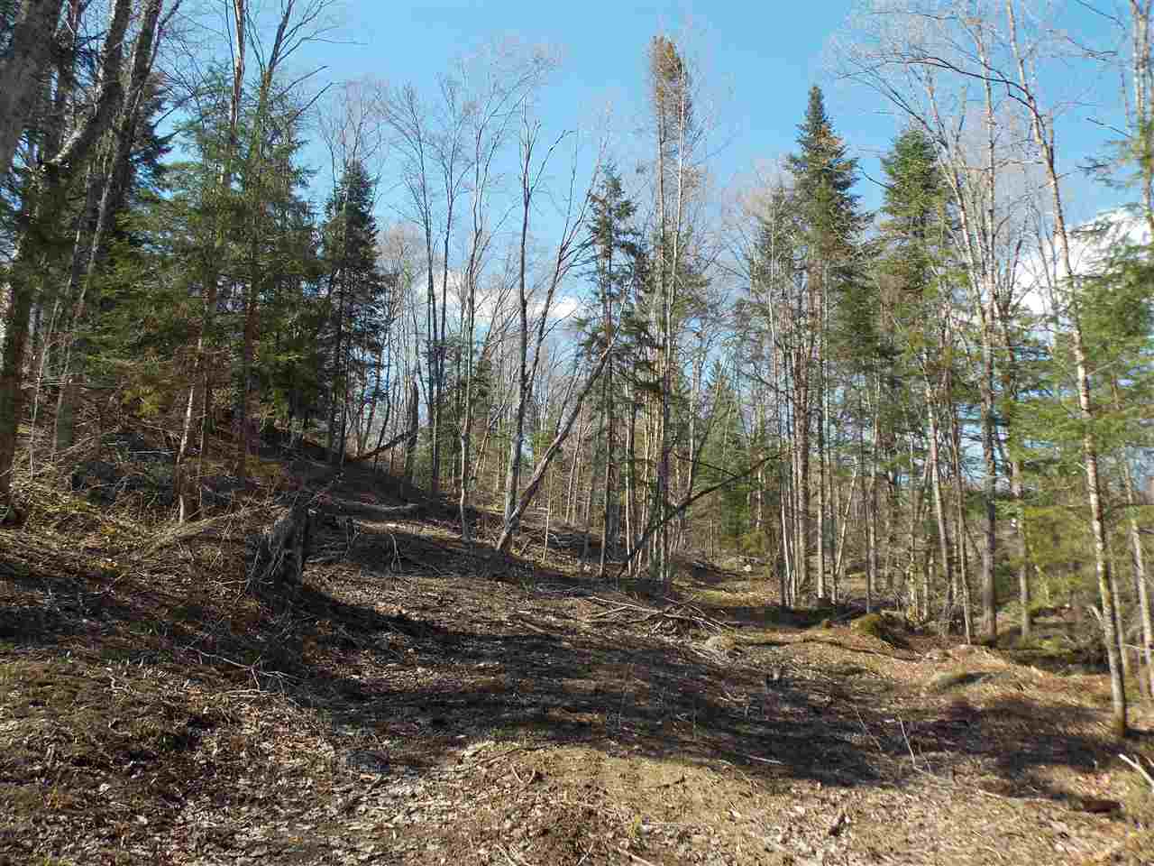 0 Marsh Road Wolcott, VT 05680 - Photo 5 of 19