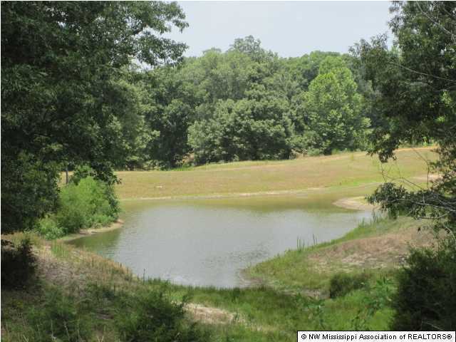 100 Hudsonville Road Holly Springs, MS 38635 - Photo 3 of 16 Additional Photo