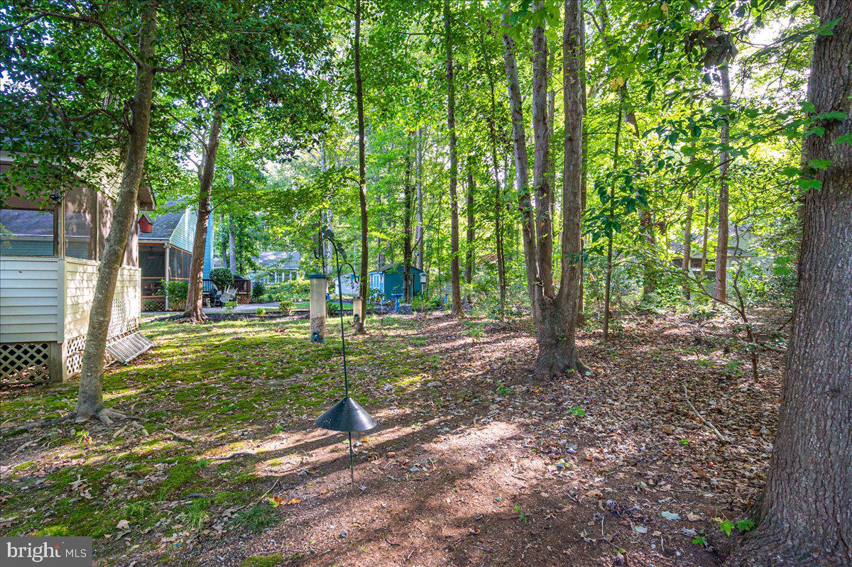 135 Sandyhook Road Ocean Pines, MD 21811 - Photo 40 of 53