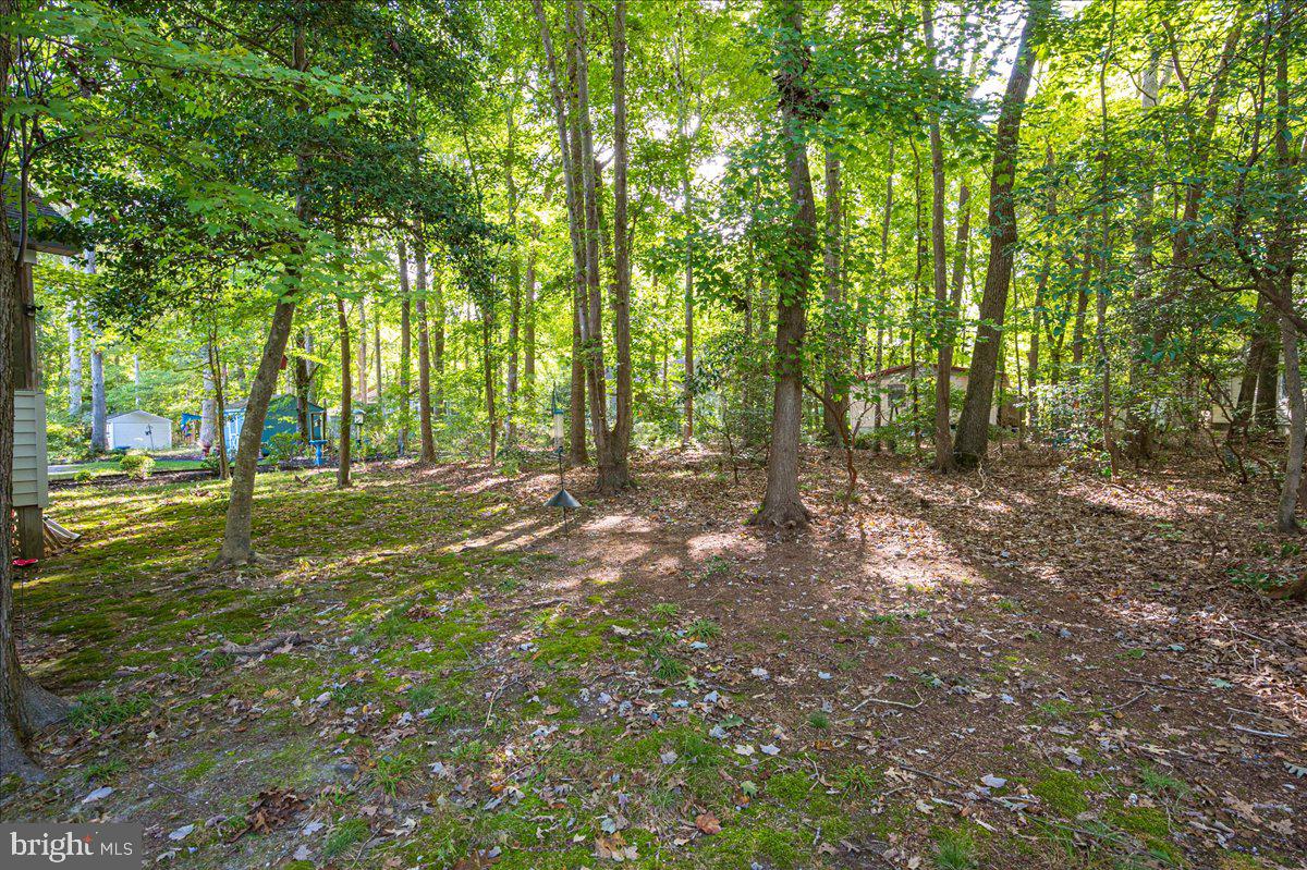 135 Sandyhook Road Ocean Pines, MD 21811 - Photo 41 of 53