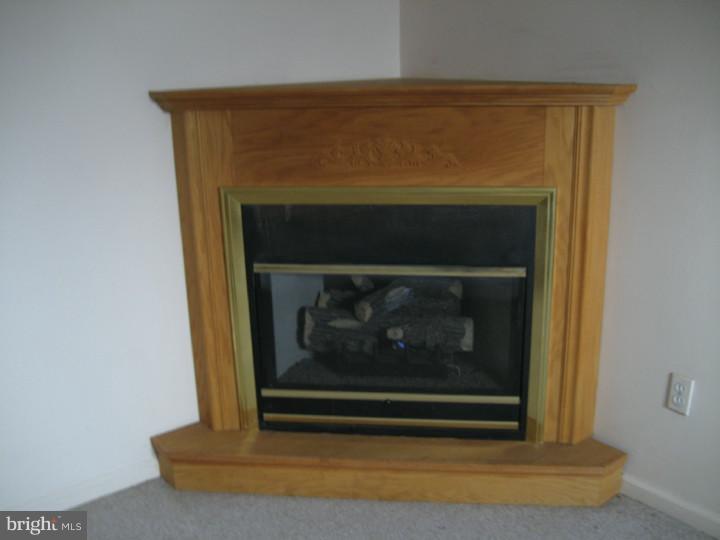 219 Overlook Road Philadelphia, PA 19128 - Photo 9 of 17 Fireplace