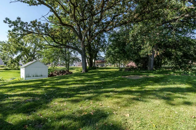 a view of a trees in a park