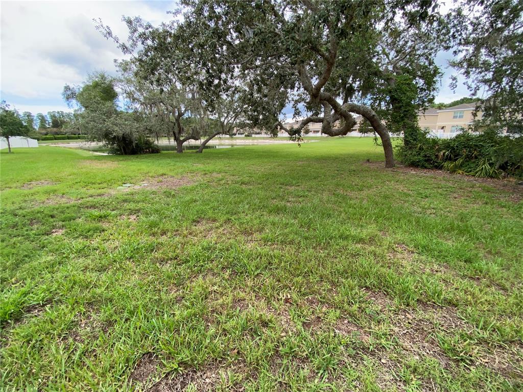 13733 Rosette Road Hudson, FL 34669 - Photo 38 of 38