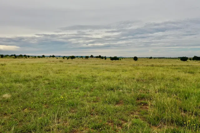 a view of an ocean and beach