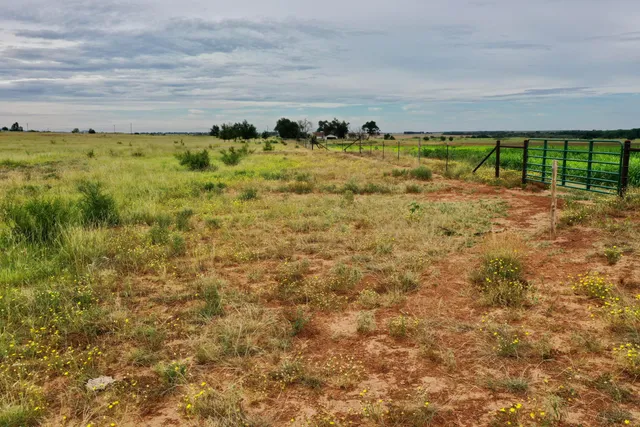 a view of yard with ocean view