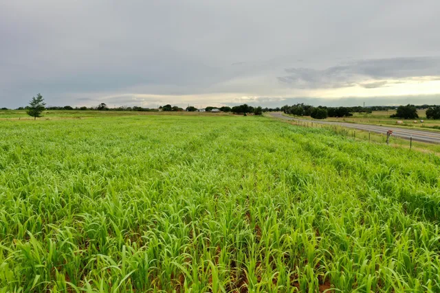 a view of an ocean and beach