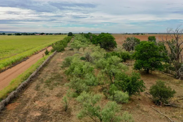 a view of a pathway both side of river and yard