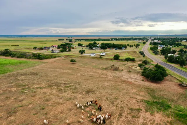 a view of an ocean beach