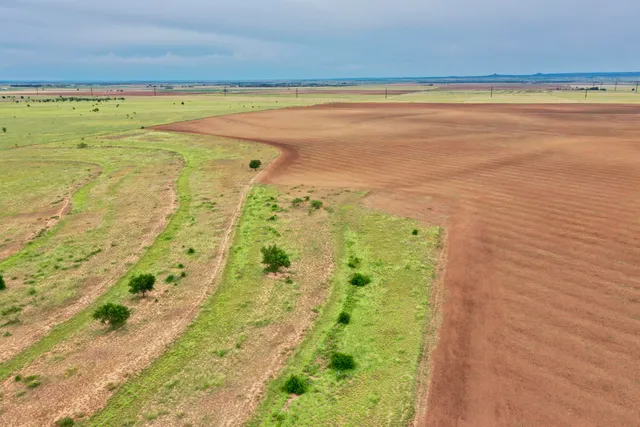 a view of an ocean and beach