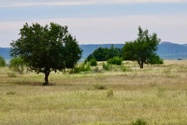 an aerial view of residential houses with outdoor space and lake view