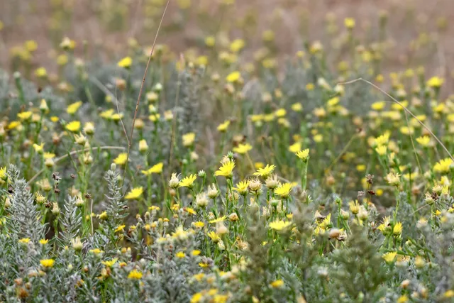 a view of lake view and mountain view