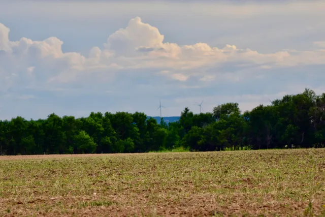 a view of a lake with a field and trees