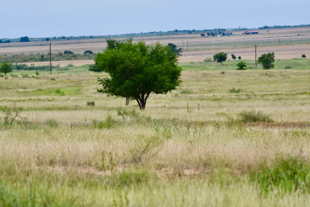 a view of an ocean from a beach
