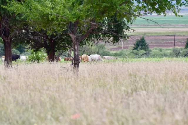 an outdoor view of a house with a yard