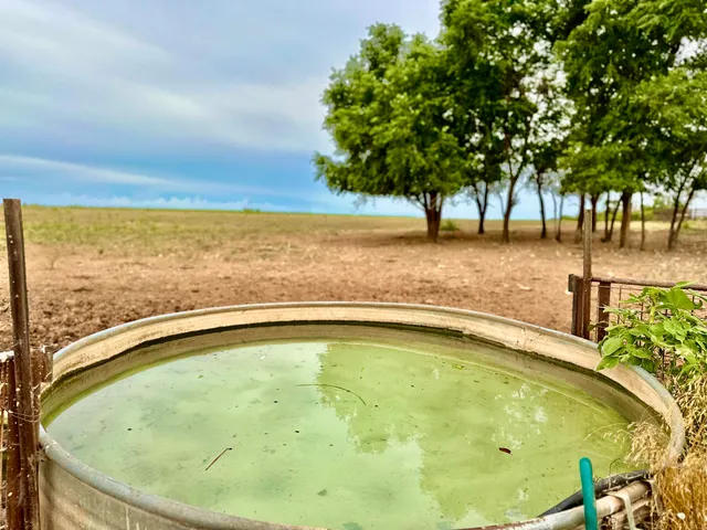 $548,175 | 11502 Highway 86, Quitaque, TX 79255