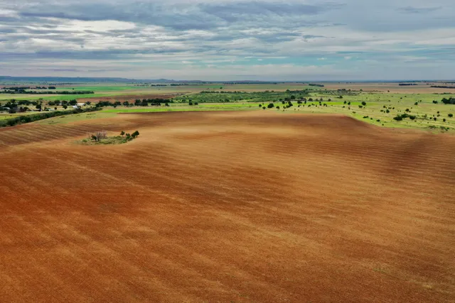 a view of an ocean and beach