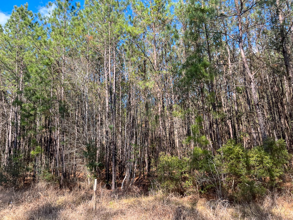 1 Laird Road Kountze, TX 77625 - Photo 5 of 7 a view of under construction area