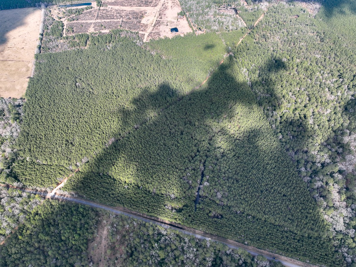 1 Laird Road Kountze, TX 77625 - Photo 7 of 7 a view of a forest
