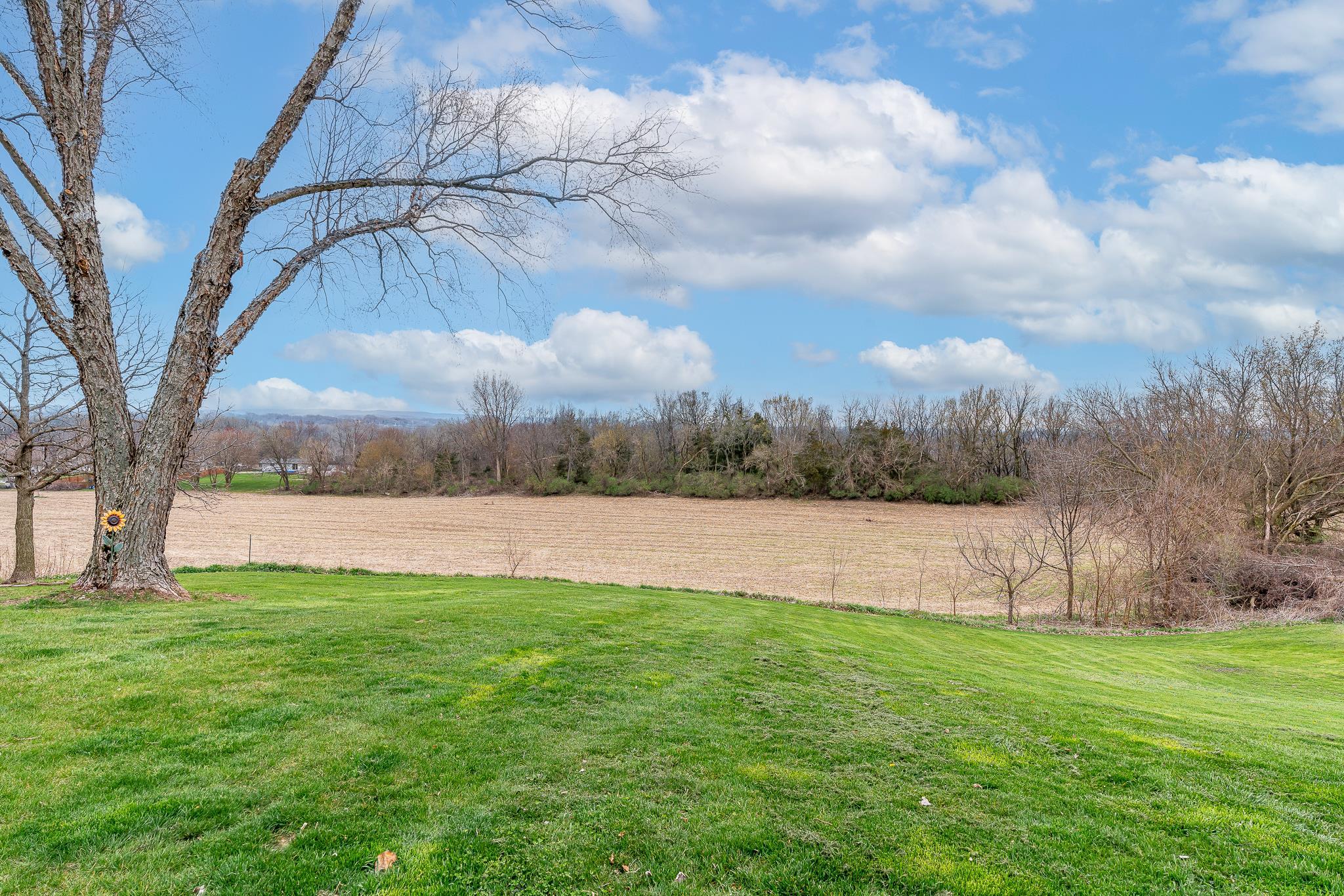 10742 Loop Road Savanna, IL 61074 - Photo 27 of 30 Gallery Image 27